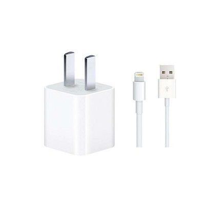 苹果 iPhoneX/8/7/6/5/5s/5c ipad mini原装充电器 原装充电头+原装数据线