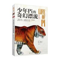 少年pi的奇幻漂流
