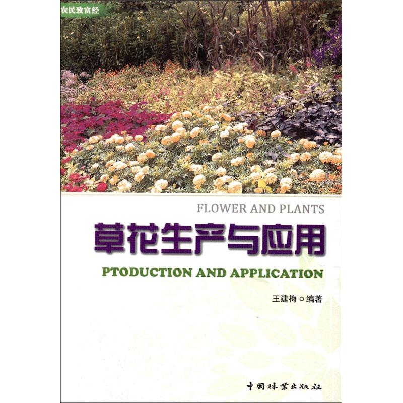 草花生产与应用 王建梅 著 专业科技 文轩网