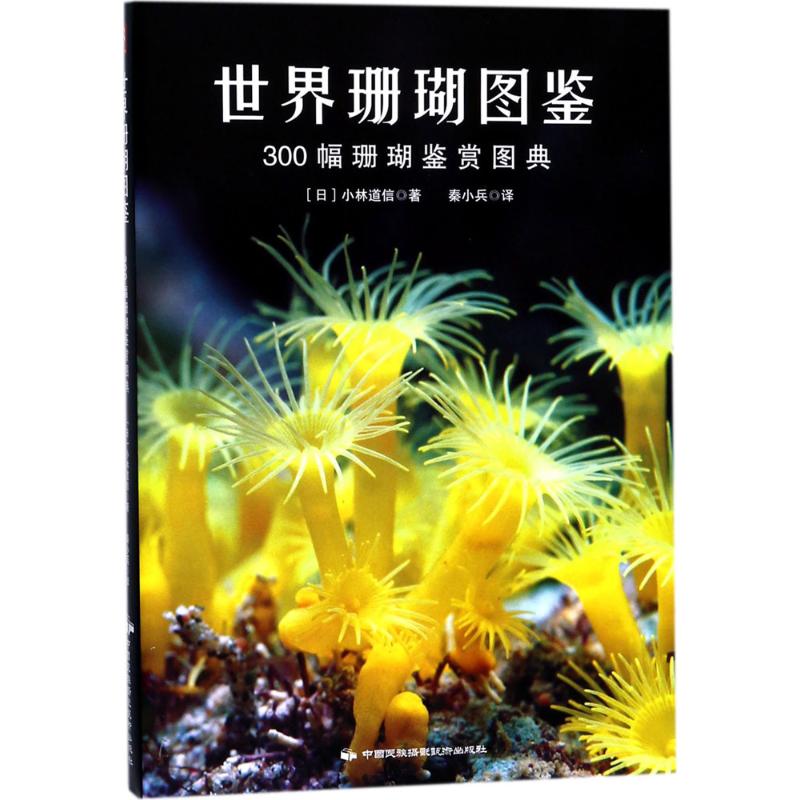 世界珊瑚图鉴:300幅珊瑚鉴赏图典 (日)小林道信 著;秦小兵 译 著 生活 文轩网