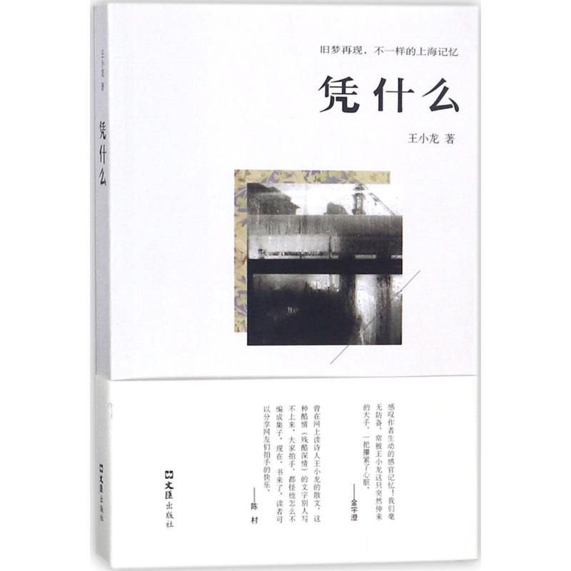 凭什么 王小龙 著 文学 文轩网