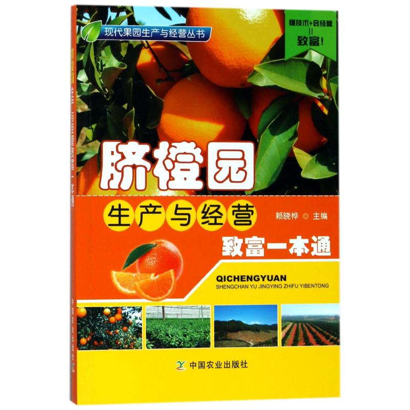 脐橙园生产与经营致富一本通社级市场书 编者:赖晓桦 著作 专业科技 文轩网