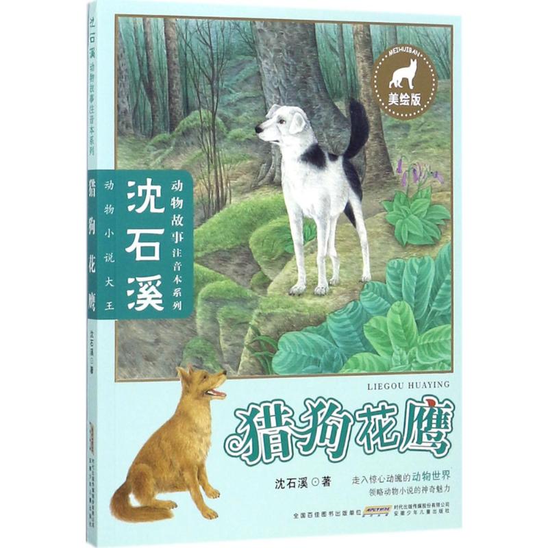 猎狗花鹰 沈石溪 著 少儿 文轩网