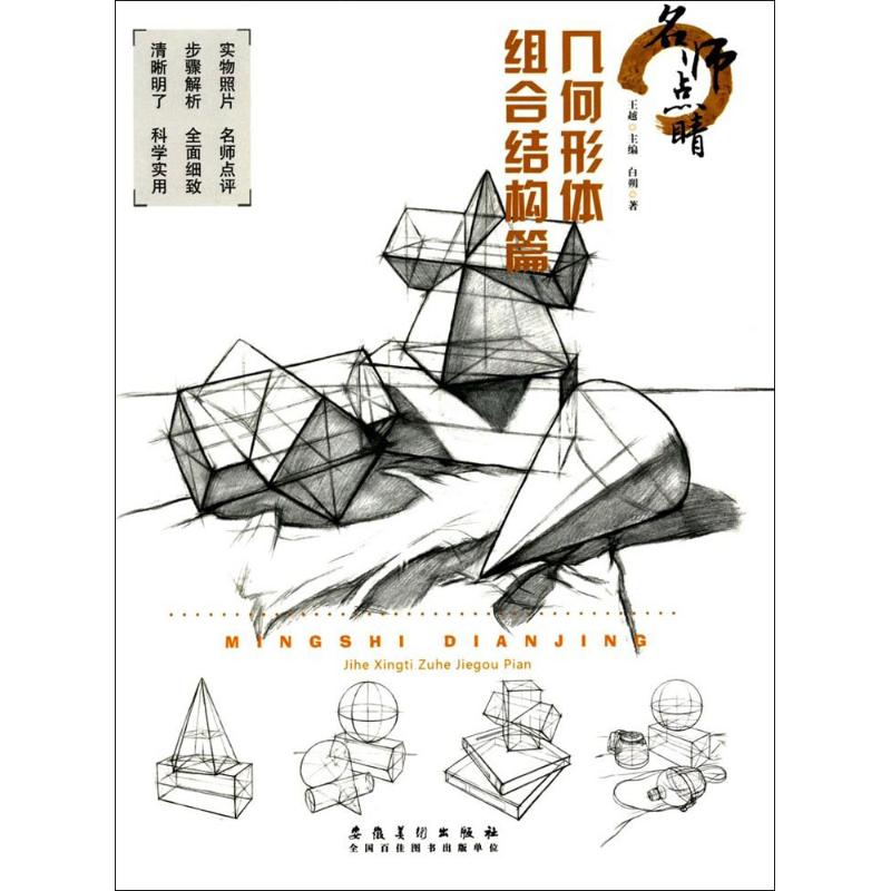 名师点睛 王越 主编；白朔 著 艺术 文轩网