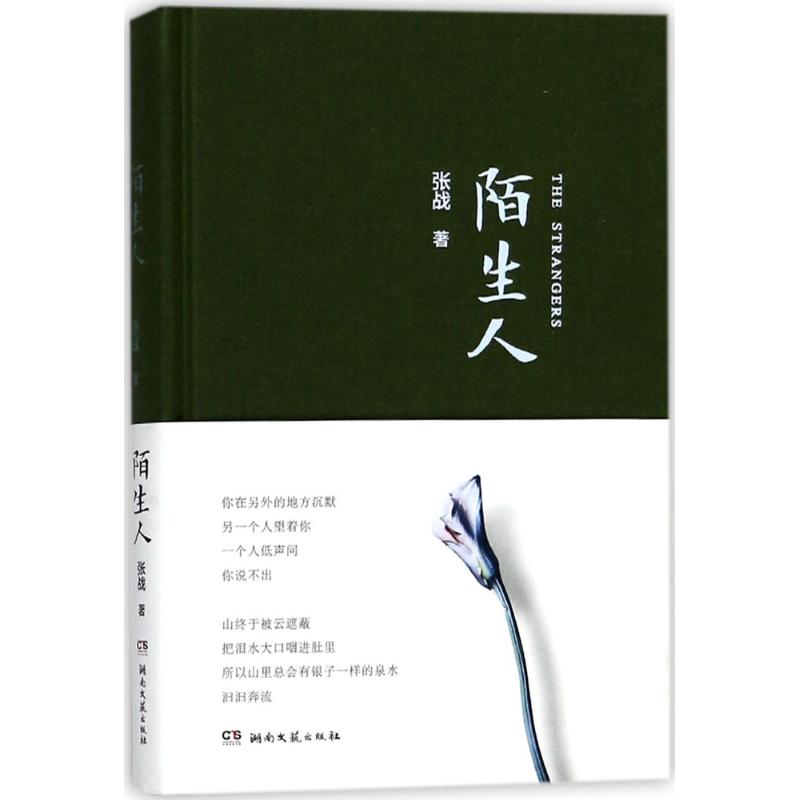 陌生人 张战 著 文学 文轩网
