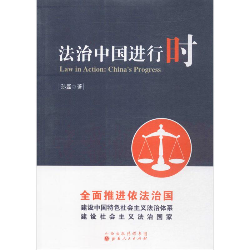 法治中国进行时 孙磊 著 著作 社科 文轩网