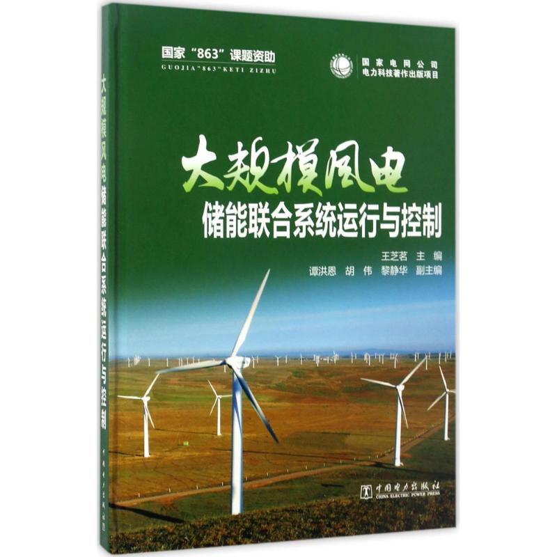 大规模风电储能联合系统运行与控制 王芝茗 主编 专业科技 文轩网