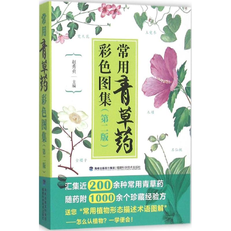 常用青草药彩色图集 赵秀贞 主编 著作 生活 文轩网