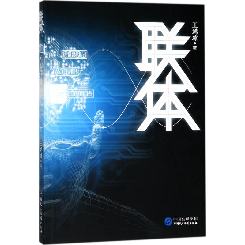 联体 王鸿冰 著 著作 文学 文轩网