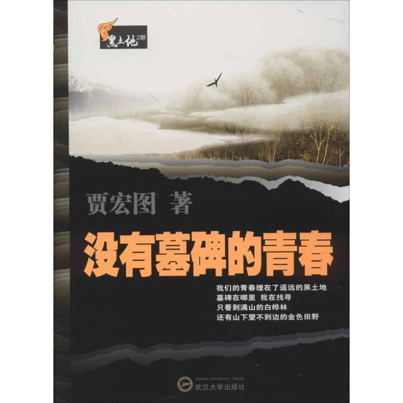 没有墓碑的青春 贾宏图 著作 文学 文轩网