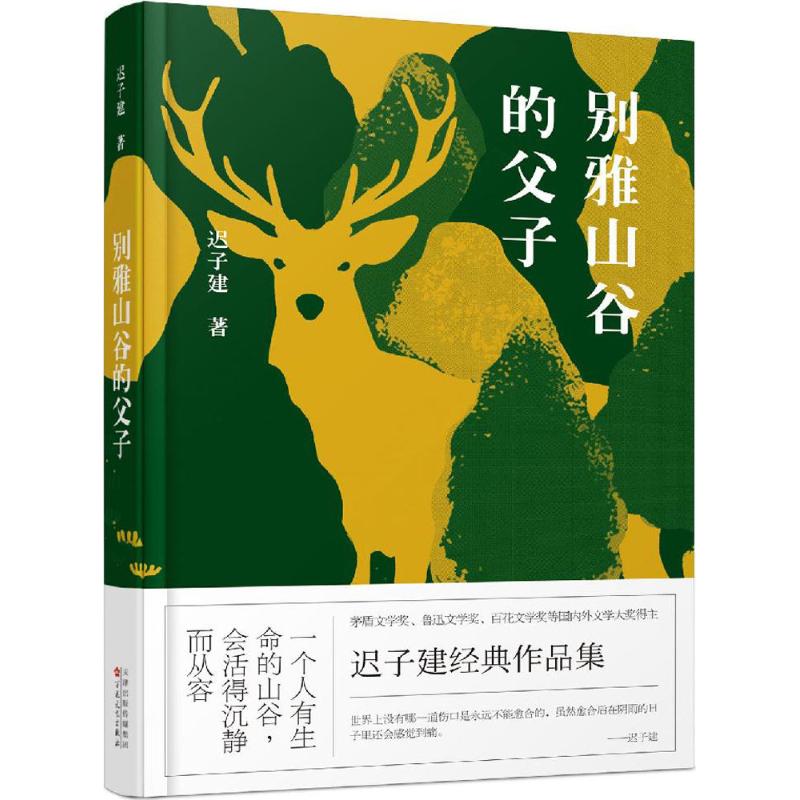 别雅山谷的父子 迟子建 著 著 文学 文轩网