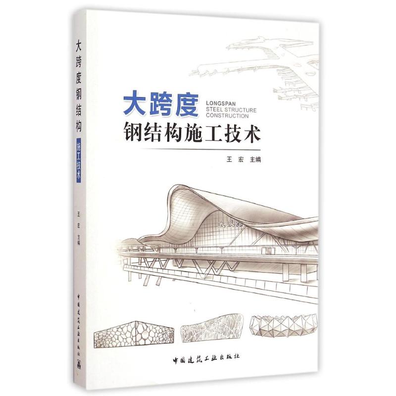 大跨度钢结构施工技术 王宏 著 著 专业科技 文轩网