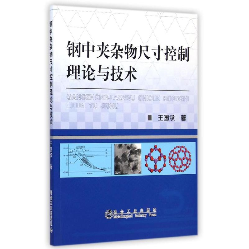 钢中夹杂物尺寸控制理论与技术 王国承 著作 专业科技 文轩网