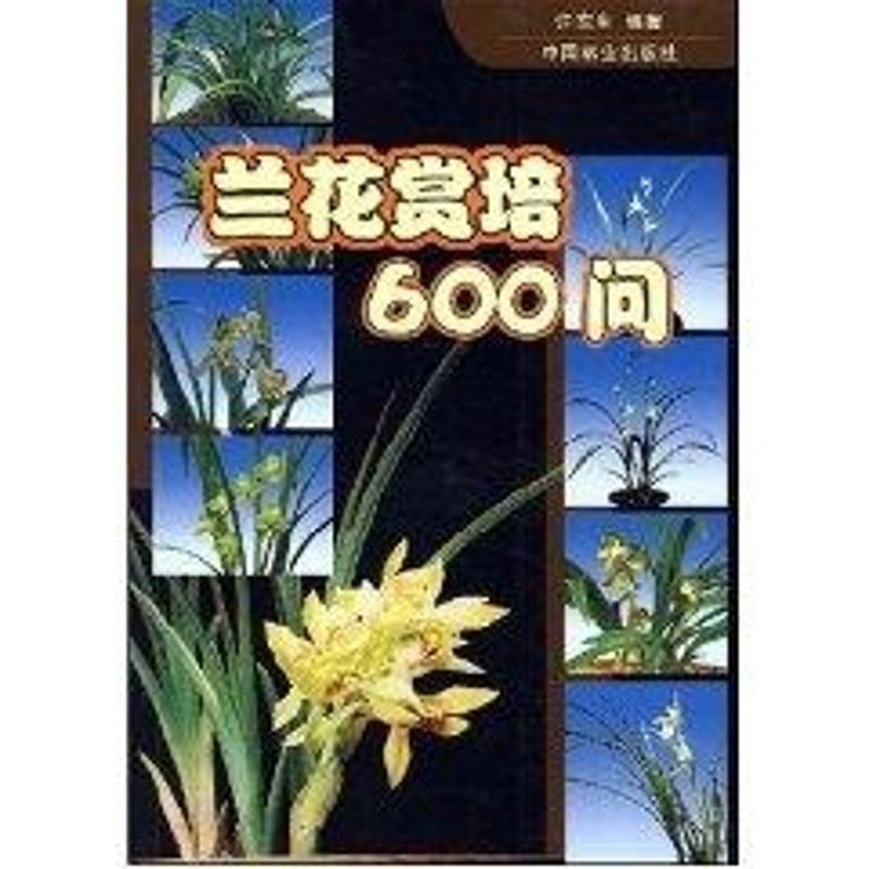 兰花赏培600问 许东生 编 专业科技 文轩网