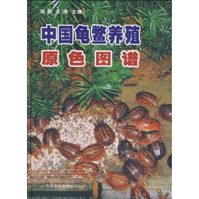 中国龟鳖养殖原色图谱 周婷 著 著 专业科技 文轩网