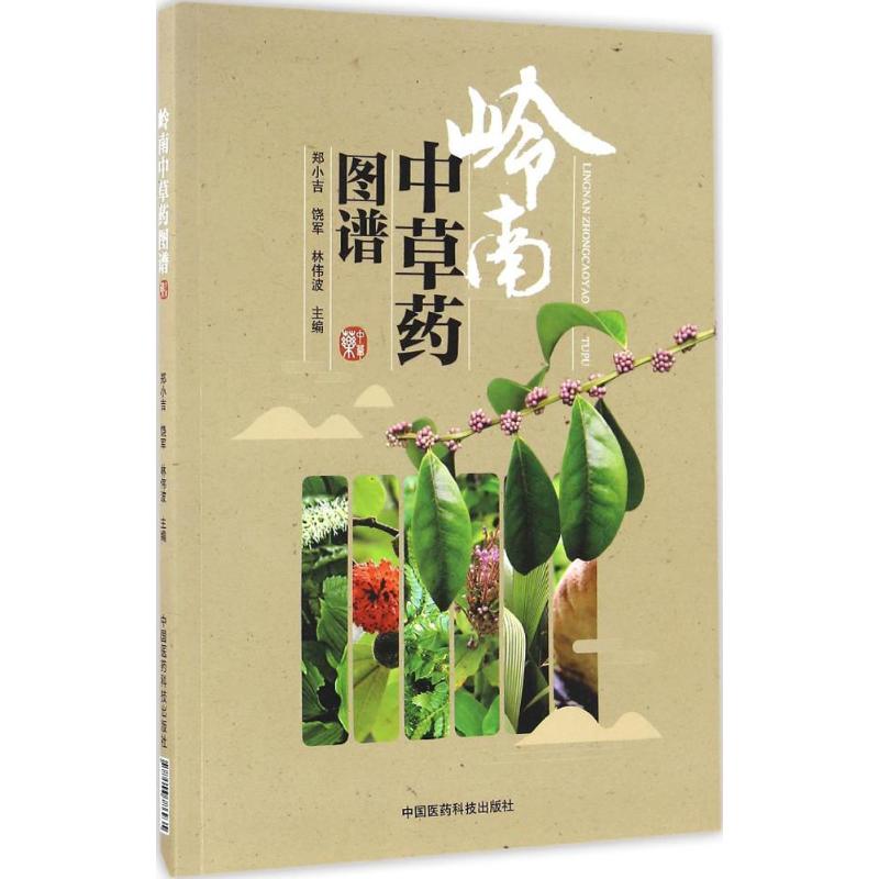 岭南中草药图谱 郑小吉,饶军,林伟波 主编 著作 生活 文轩网