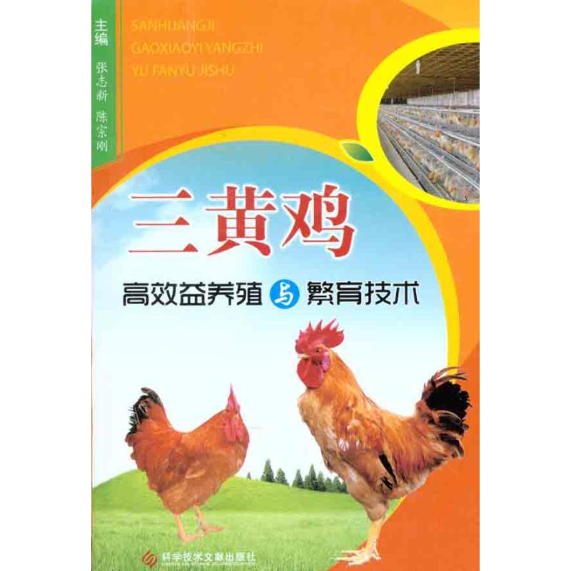 三黄鸡高效益养殖与繁育技术 张志新 陈宗刚 主编 专业科技 文轩网