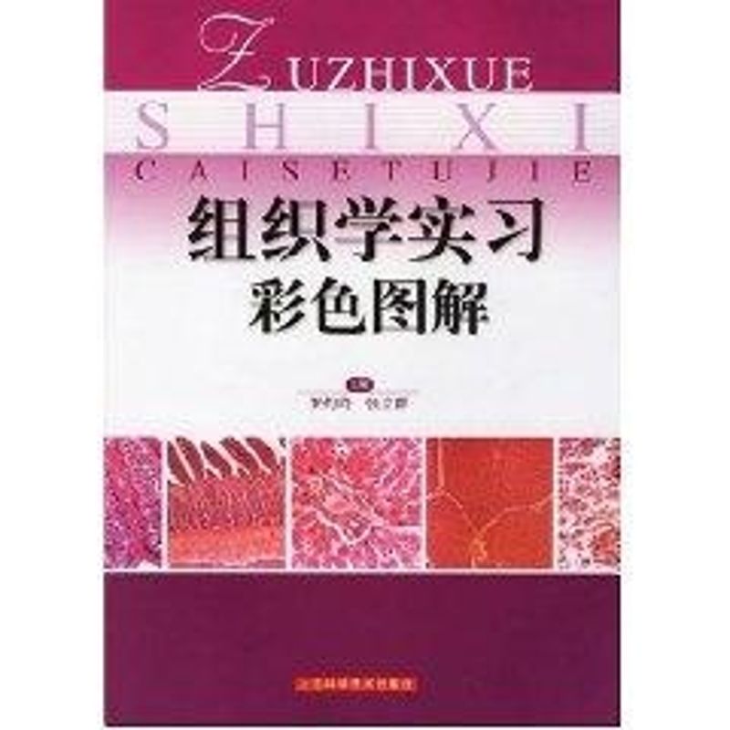 组织学实习彩色图解 罗灼玲 等 编 生活 文轩网