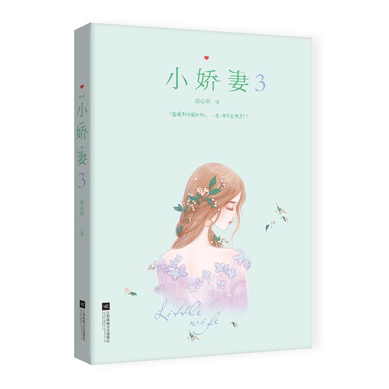 小娇妻3 洛心辰 著 文学 文轩网