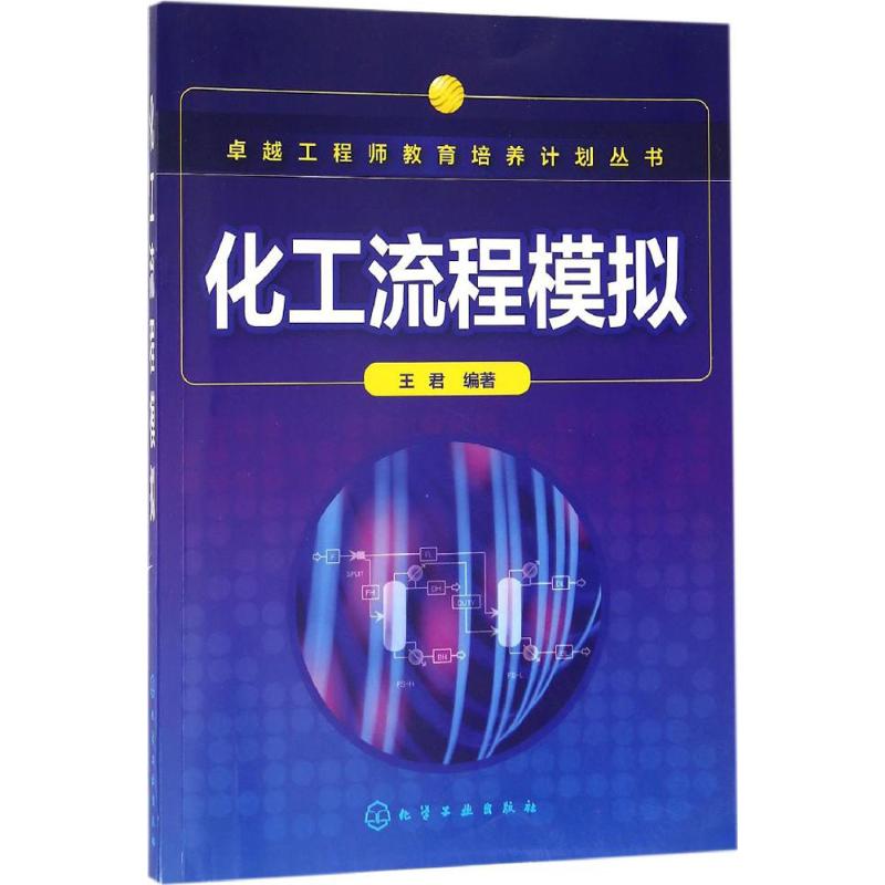 化工流程模拟 王君 编著 专业科技 文轩网