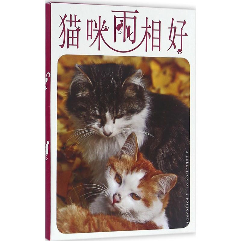 猫咪两相好 浮图 摄影;刘晓天 责任编辑 著作 艺术 文轩网