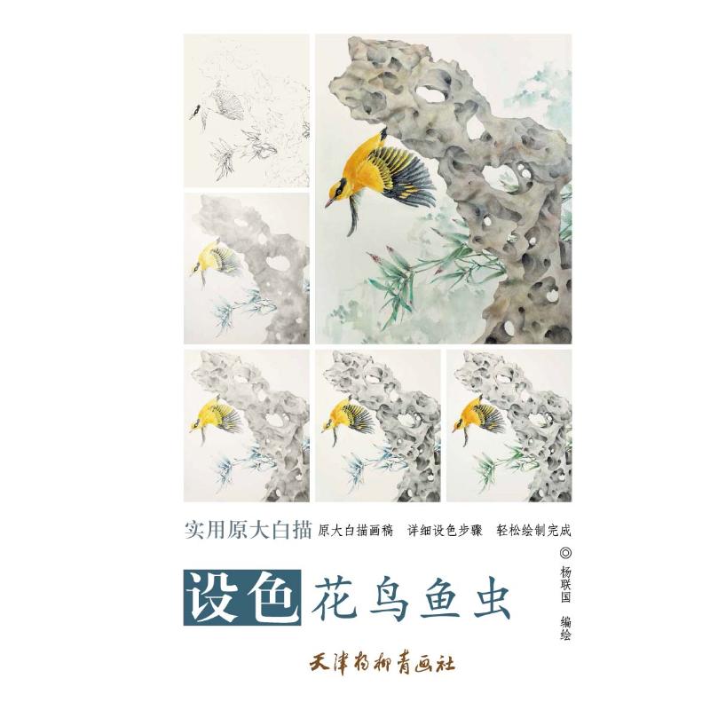 设色花鸟鱼虫 杨联国 著 田瑾  那欣 编 艺术 文轩网