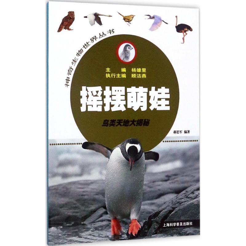 摇摆萌娃 郝思军 编著;杨雄里 丛书主编 著作 少儿 文轩网