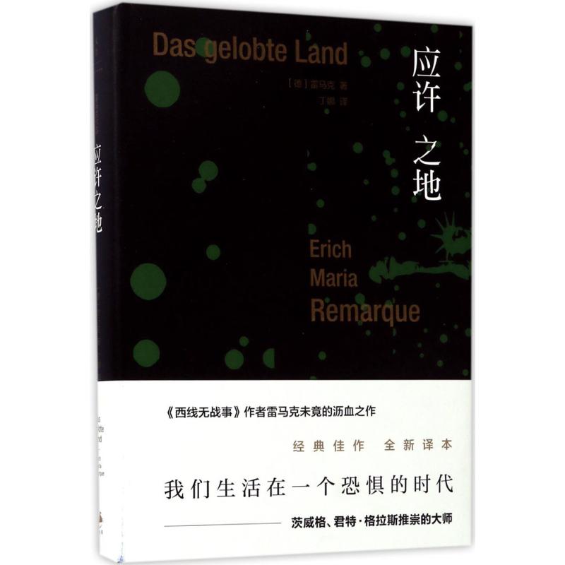 应许之地 (德)埃里希·玛丽亚·雷马克(Erich Maria Remarque) 著;丁娜 译 文学 文轩网