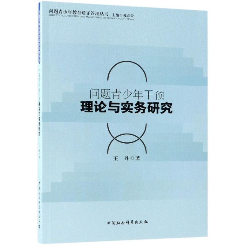 问题青少年干预理论与实务研究 王丹 著 社科 文轩网