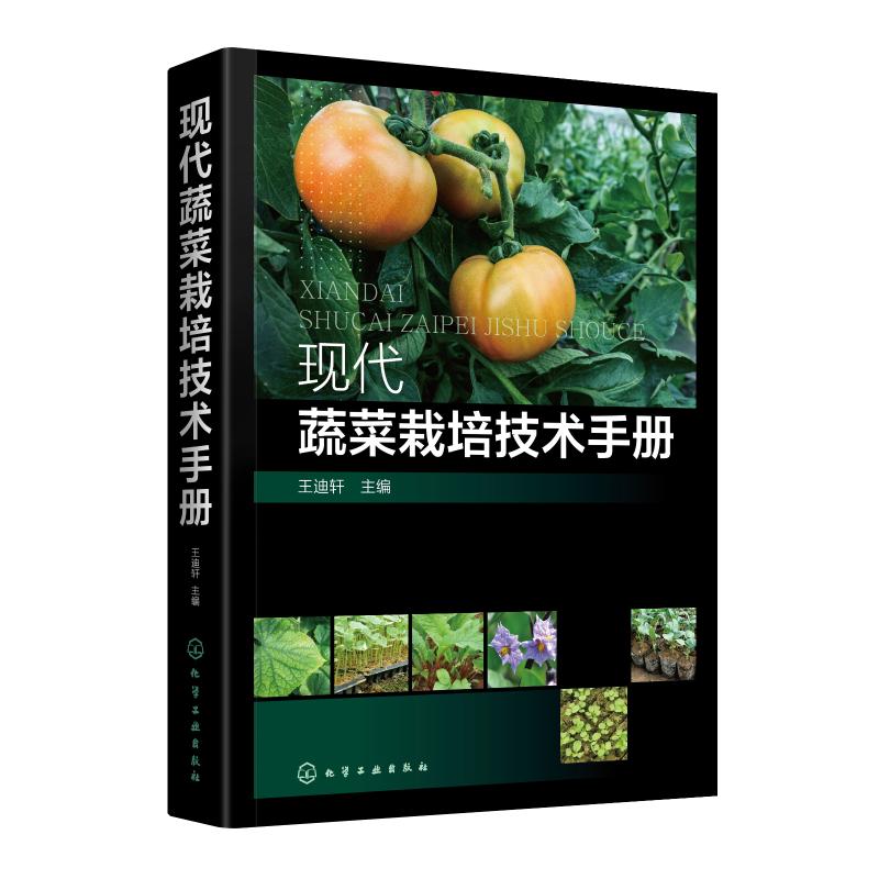 现代蔬菜栽培技术手册 王迪轩 编 专业科技 文轩网