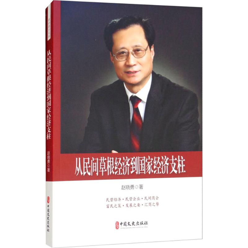 从民间草根经济到国家经济支柱 赵晓勇 著 经管、励志 文轩网