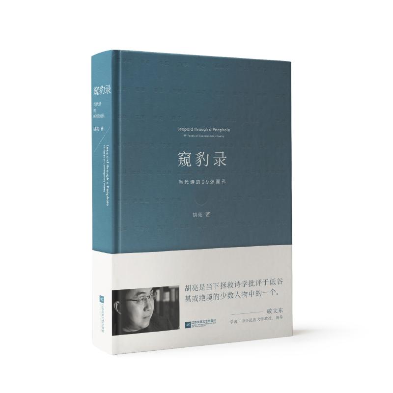 窥豹录 胡亮 著 文学 文轩网