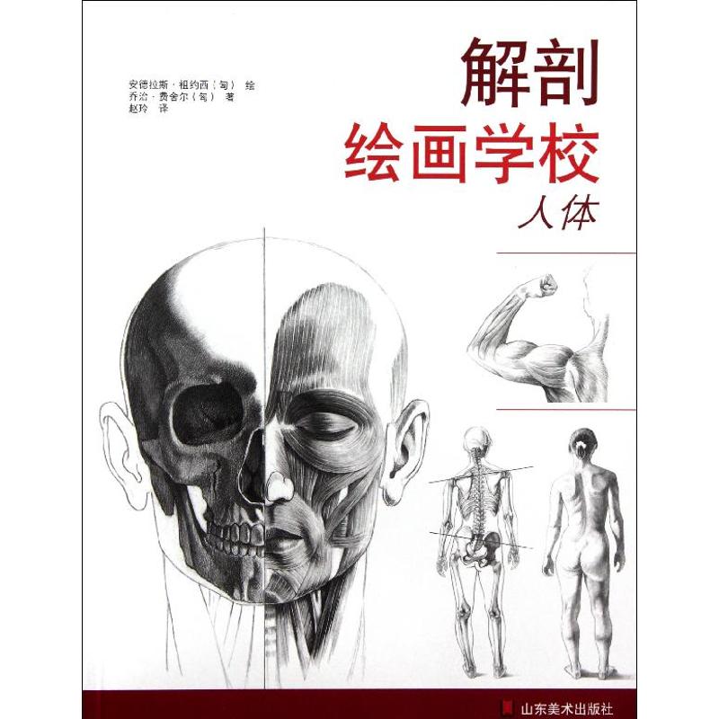 解剖绘画学校:人体 (匈)乔治?费舍尔 著作 赵玲 译者 艺术 文轩网