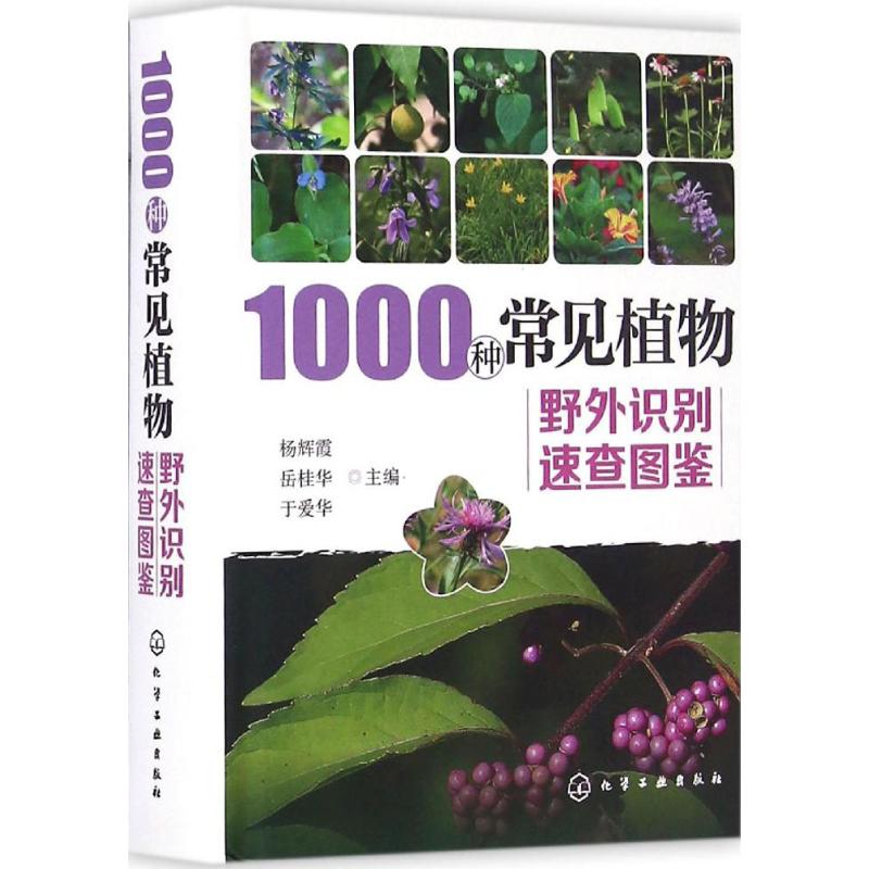 1000种常见植物野外识别速查图鉴 杨辉霞,岳桂华,于爱华 主编 著 专业科技 文轩网