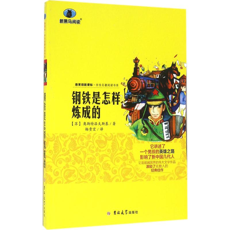 钢铁是怎样炼成的 (苏)尼古拉·奥斯特洛夫斯基 著;杨贵宏 译 著作 文教 文轩网