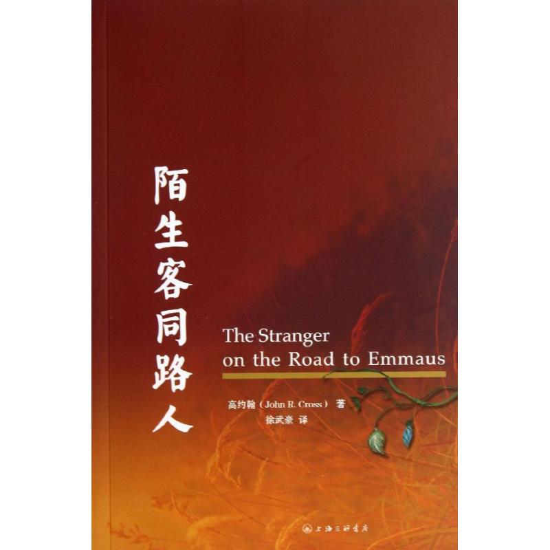 陌生客同路人 (加)高约翰 著作 徐武豪 译者 文学 文轩网