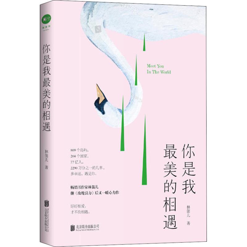 你是我最美的相遇 林笛儿 著 文学 文轩网