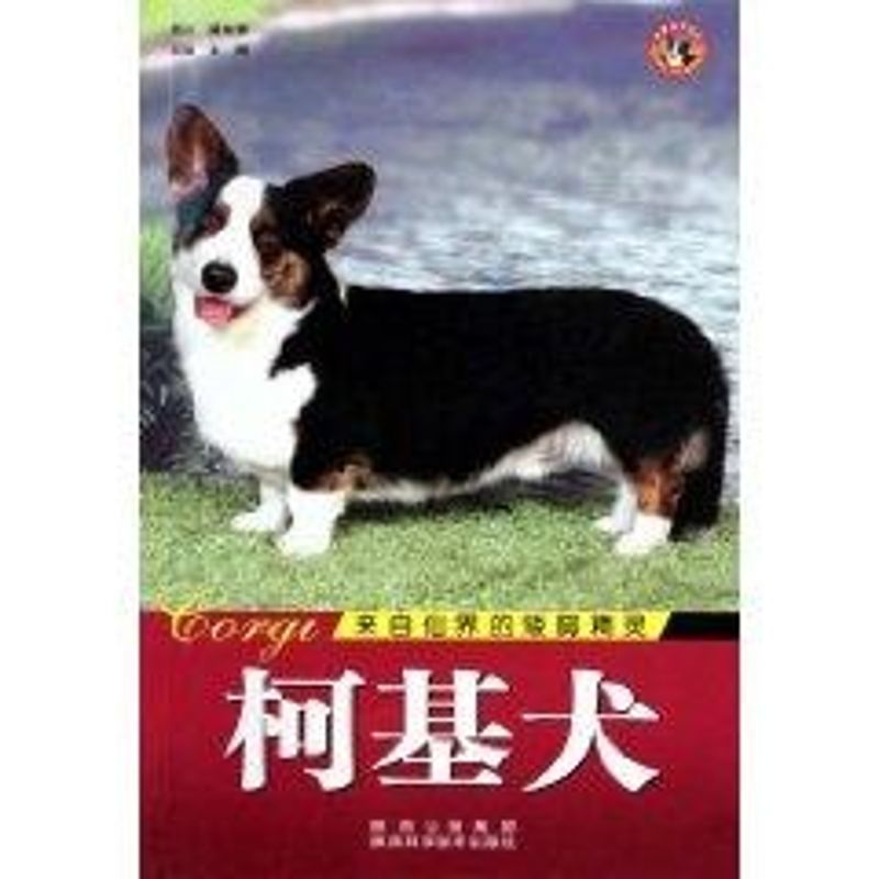 世界名犬-柯基犬 王晓 著作 著 生活 文轩网