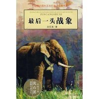最后一头战象