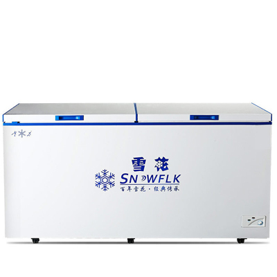 雪花（SNOWFLK）BD/BC-768 768升 卧式冰柜 冷藏冷冻转换柜
