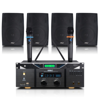 狮乐会议室音响组合家庭影院U段调频无线话筒+USB功放+壁挂音箱培训教室搭配套餐2011B+18+105×4