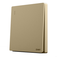 正泰开关插座 NEW2H香槟金 无边框大面板 带LED指示灯