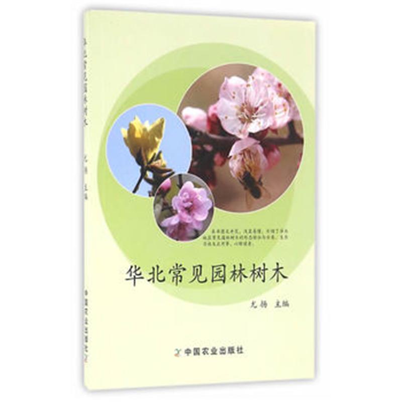 华北常见园林树木