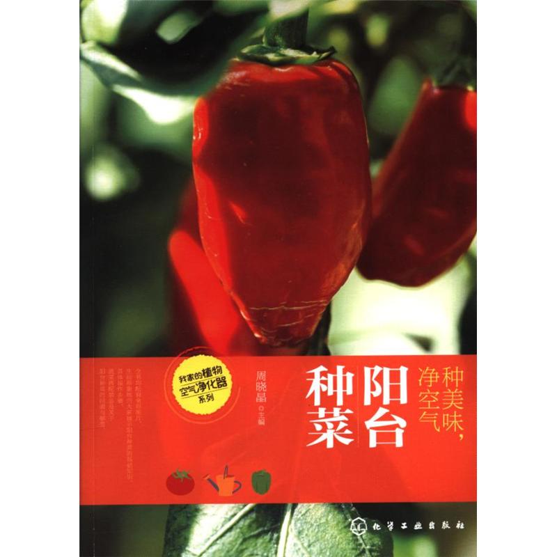 种美味.净空气-阳台种菜