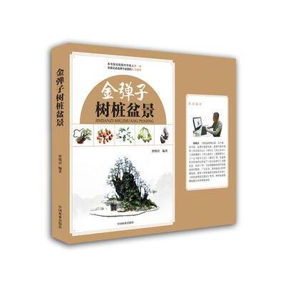 金弹子树桩盆景