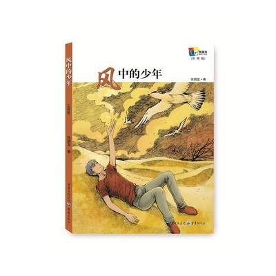 风中的少年-(彩图版)