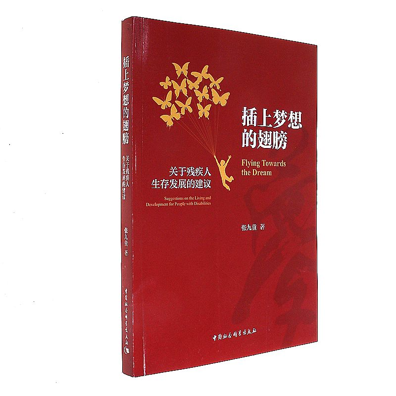 插上梦想的翅膀-关于残疾人生存发展的建设