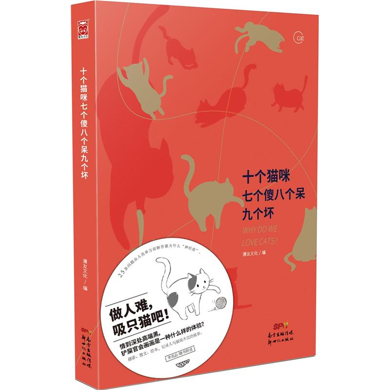 十个猫咪七个傻八个呆九个坏