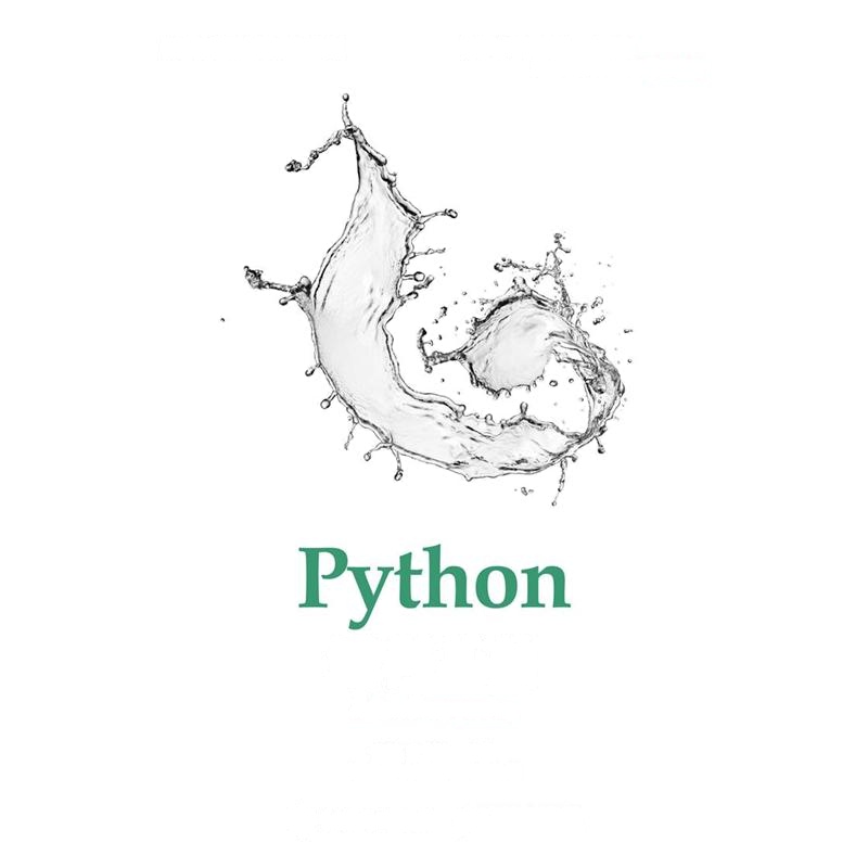 Python编程基础