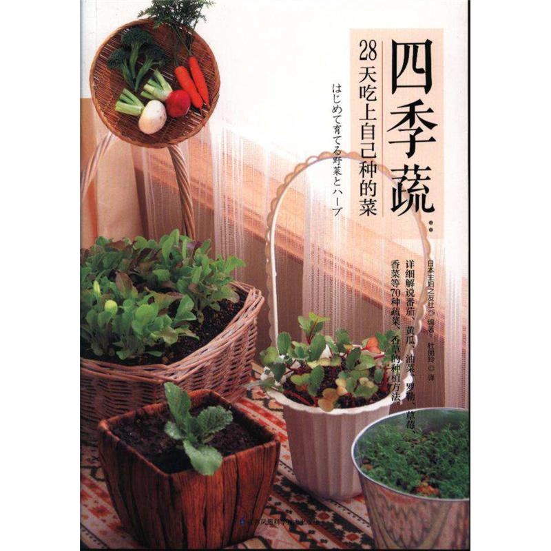 四季蔬-28天吃上自己种的菜